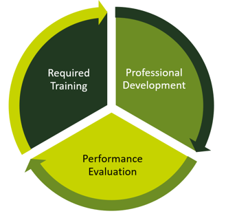 Employee Growth Cycle